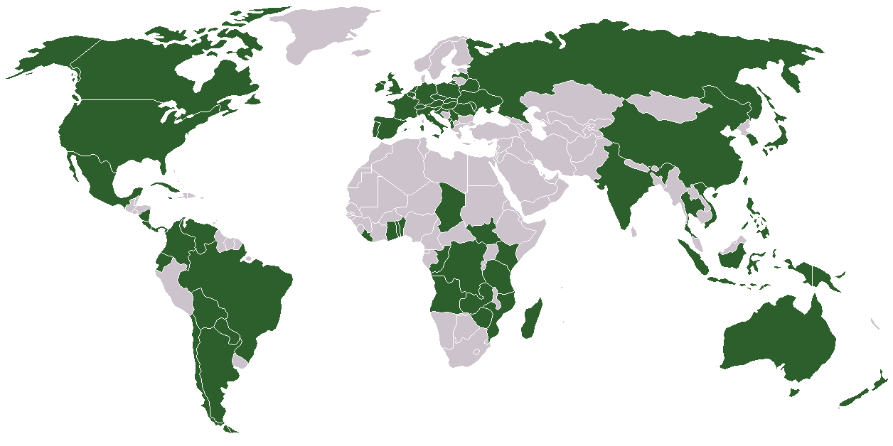 SVD Activities in the World